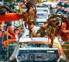 Roboterarm in der  Autoproduktionsanlage 