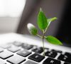 Aus einer Laptop-Tastatur wächst eine Pflanze